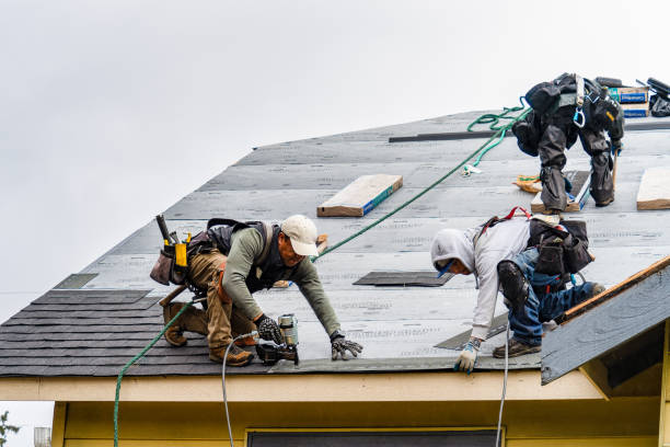 Professional Gutter Installation technician working in Mc Gill, NV